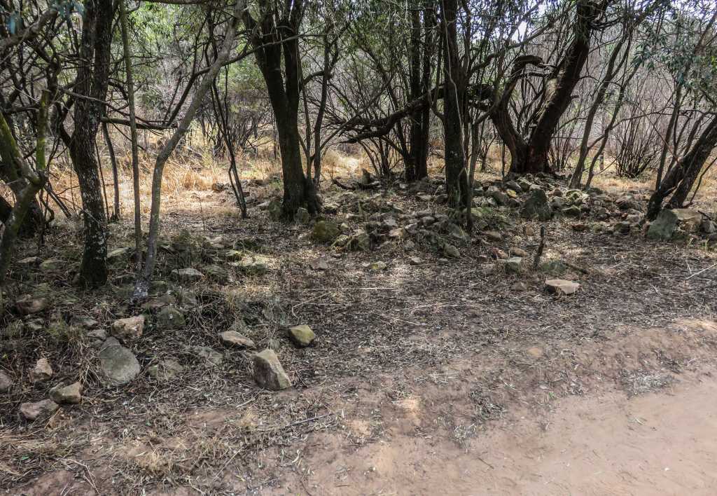 Parys Liebenberg graves
